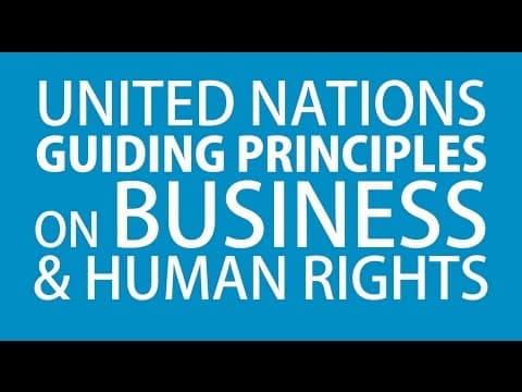 UN Guiding Principles on Business and Human Rights
